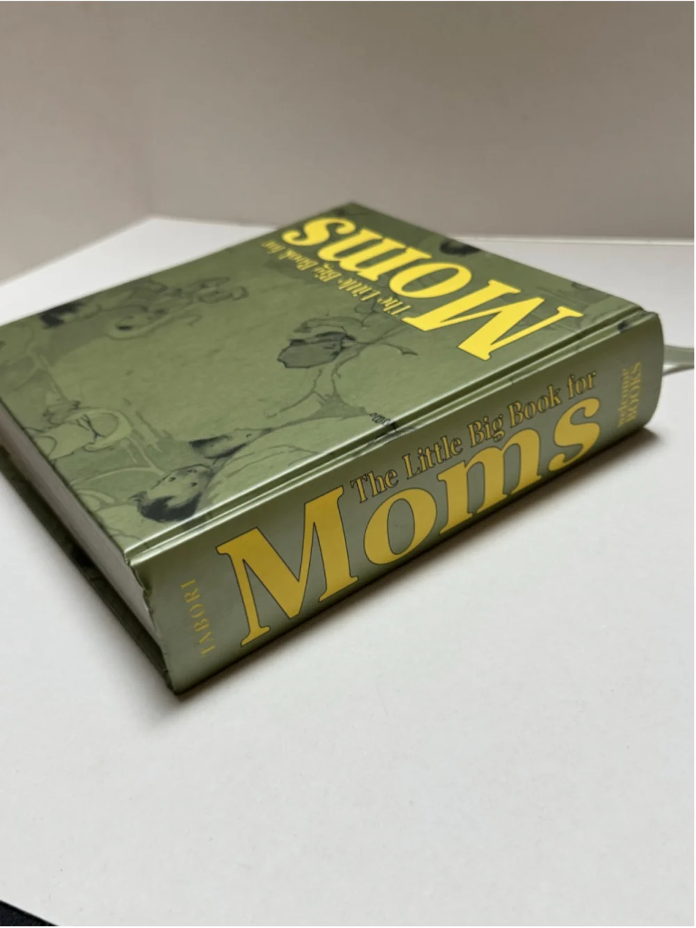 Tabori & Chang The Little Big Book for Moms Book (2000, Hardcover)